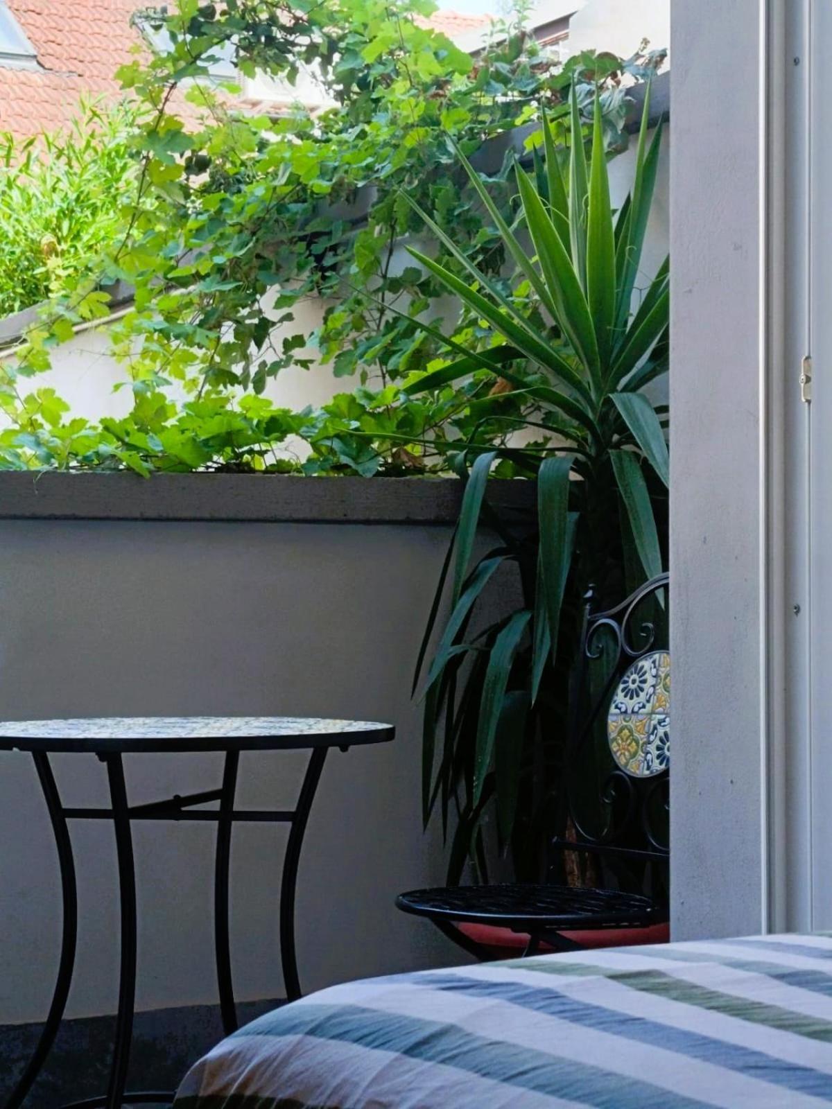 Orelli House 리쏘네 외부 사진